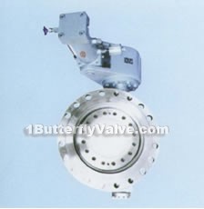 Butterfly buffering check valves