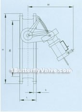 Butterfly buffering check valve constructral diagram(pic1)