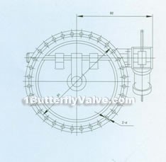 Butterfly buffering check valve constructral diagram(pic2)