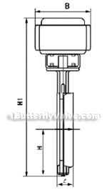 D972X electric single accentric soft-sealed wafer butterfly valve constructral diagram(pic2)