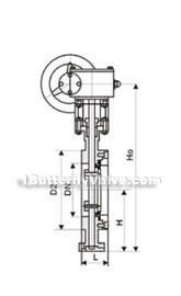 JIS three eccentric hard-sealed flange, wafer butterfly valve constructral diagram(pic3)