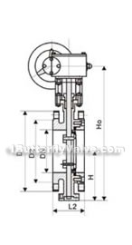 JIS three eccentric hard-sealed flange, wafer butterfly valve constructral diagram(pic5)