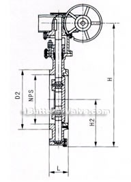 Lug butterfly valve constructral diagram(pic1)