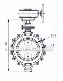 Lug butterfly valve constructral diagram(pic2)