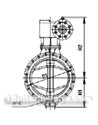 Spring(emergency off) quick off butterfly valve constructral diagram(pic2)