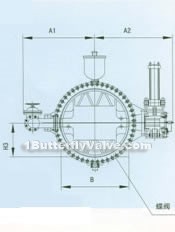 Whole set of water turbine butterfly valve constructral diagram(pic2)