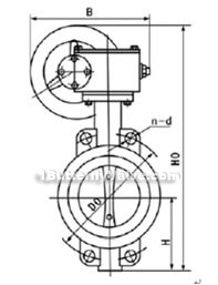 D371X-6/10/16 worm gear soft-sealed wafer butterfly valve constructral diagram(pic1)